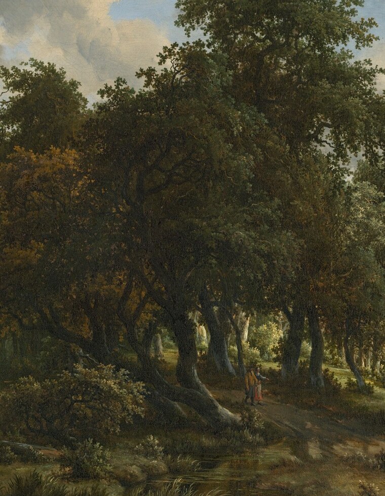 Hobbema's contre-jour technique , trunks read as near-black columns that frame and intensify the lighter passages behind them