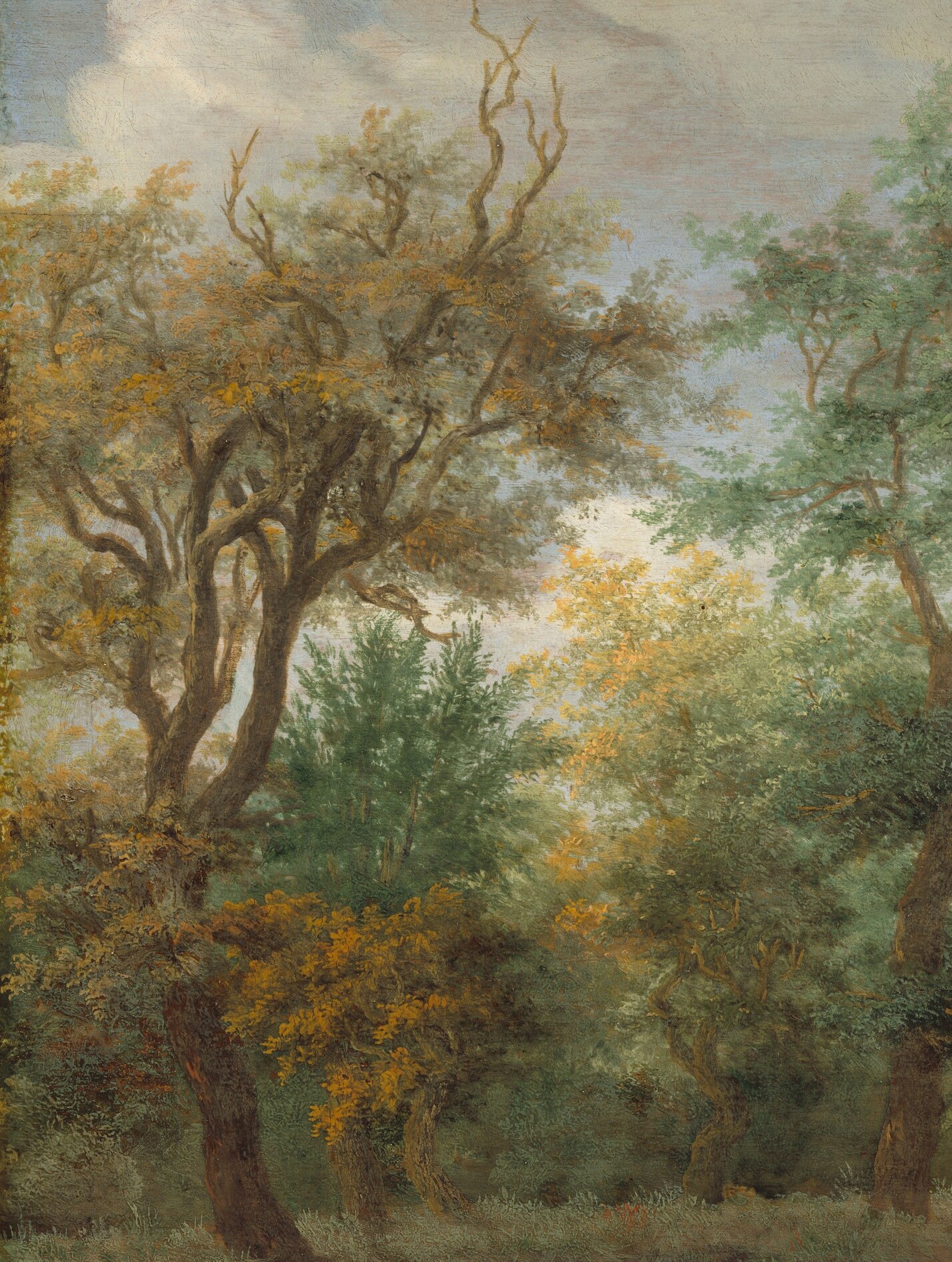 He trained under a famous master, Jacob van Ruisdael.