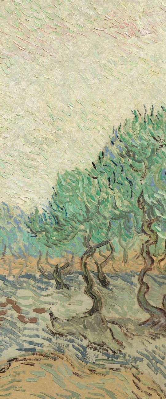 The most tortured and expressive single trunk in the painting; its spiral contortion mirrors the psychological intensity Van Gogh poured into the Saint-Rémy canvases.