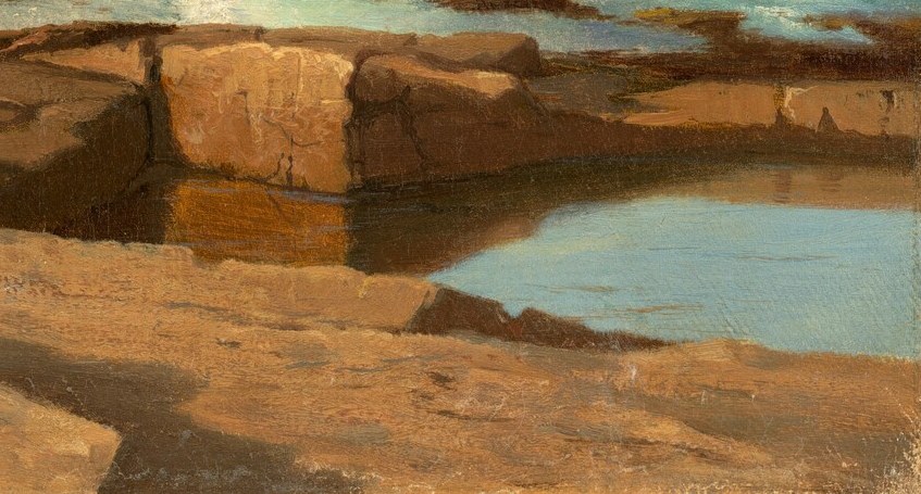 Among the tide pools, a small reflection appears.