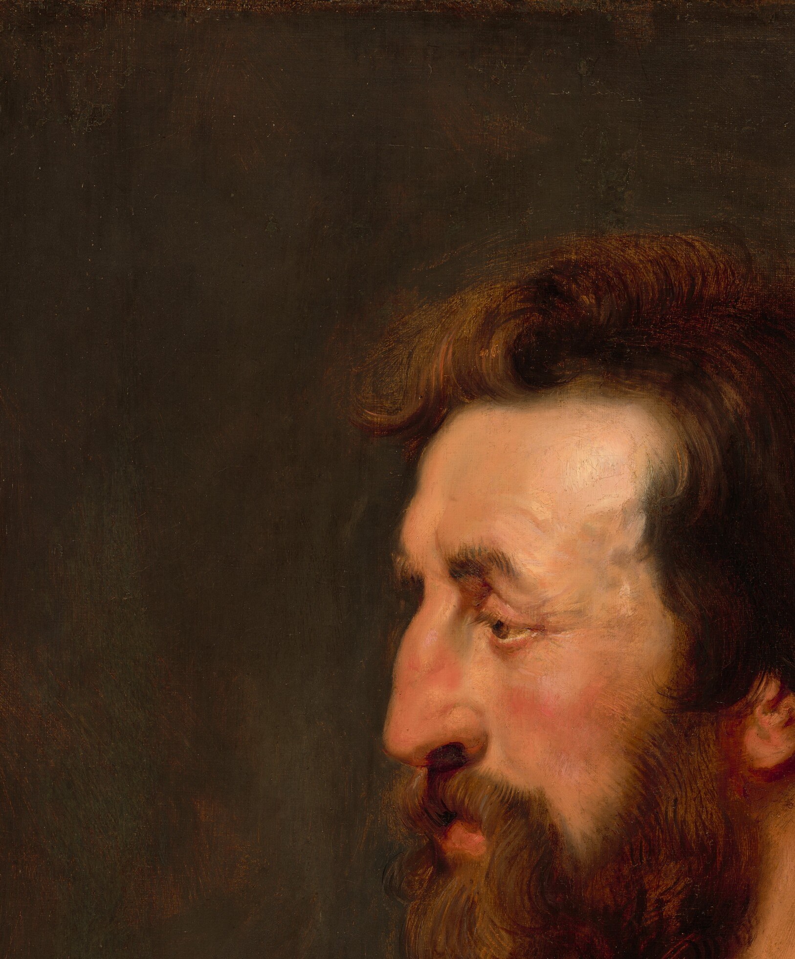 The psychological center of the work , Rubens gives the elderly king a look of absorbed reverence, skin warm against the dark ground, every wrinkle readable at close range.