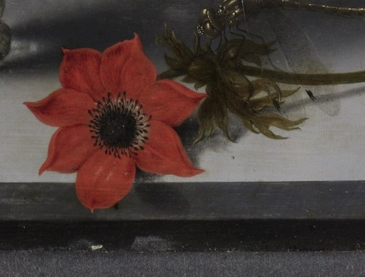 A fallen anemone rots on the ledge. A bee crawls near the stems.