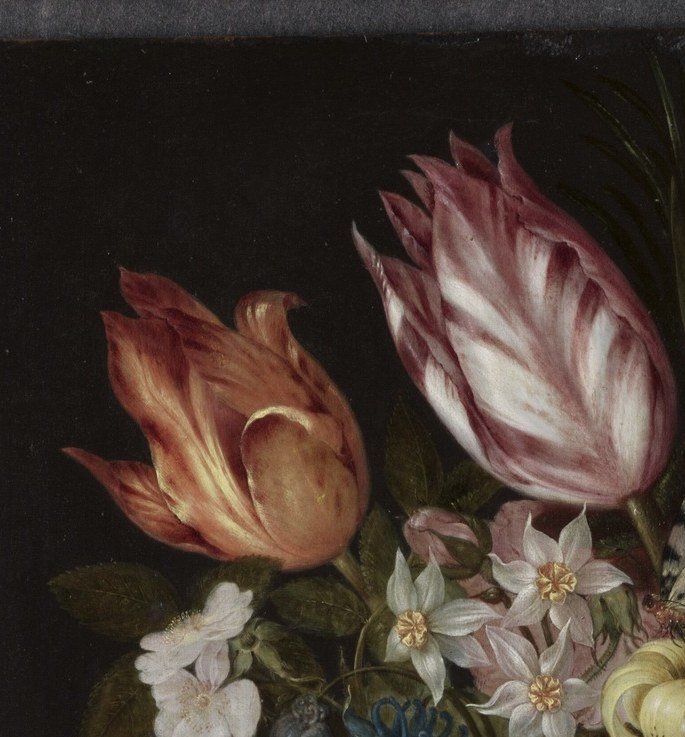 Look at the tulips. Striped, 'broken,' impossibly expensive.