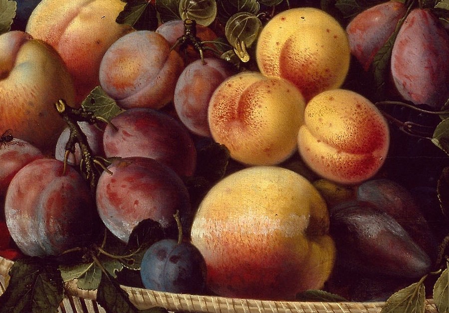 Look at the fuzz on these ripe apricots and peaches.