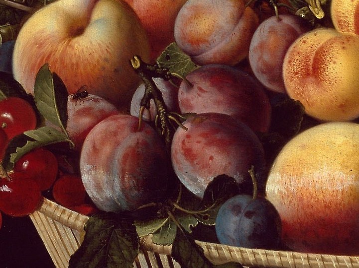 Or the dusty bloom on these dark plums.