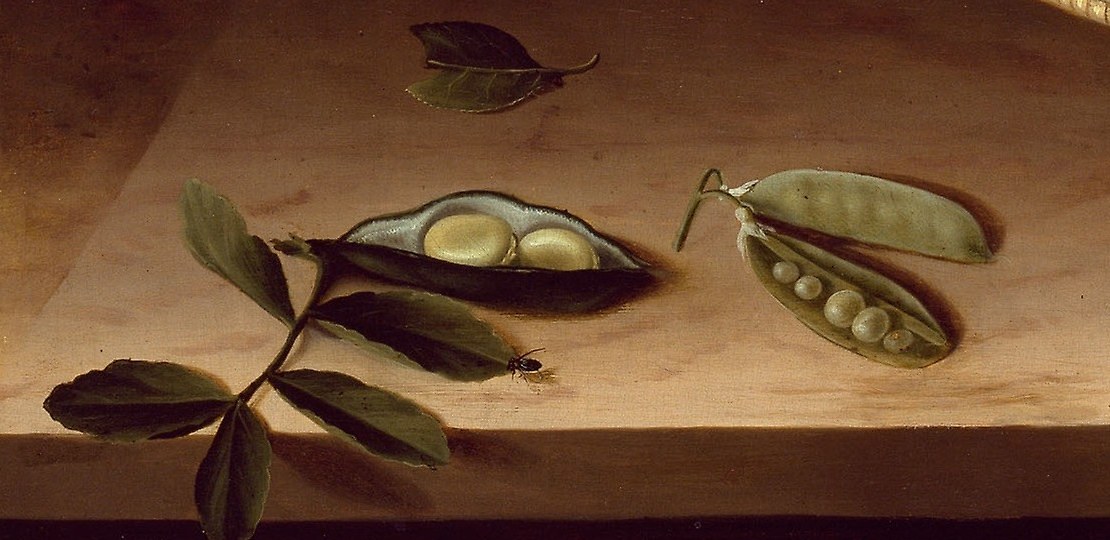 But the real trick is in these split pea pods.