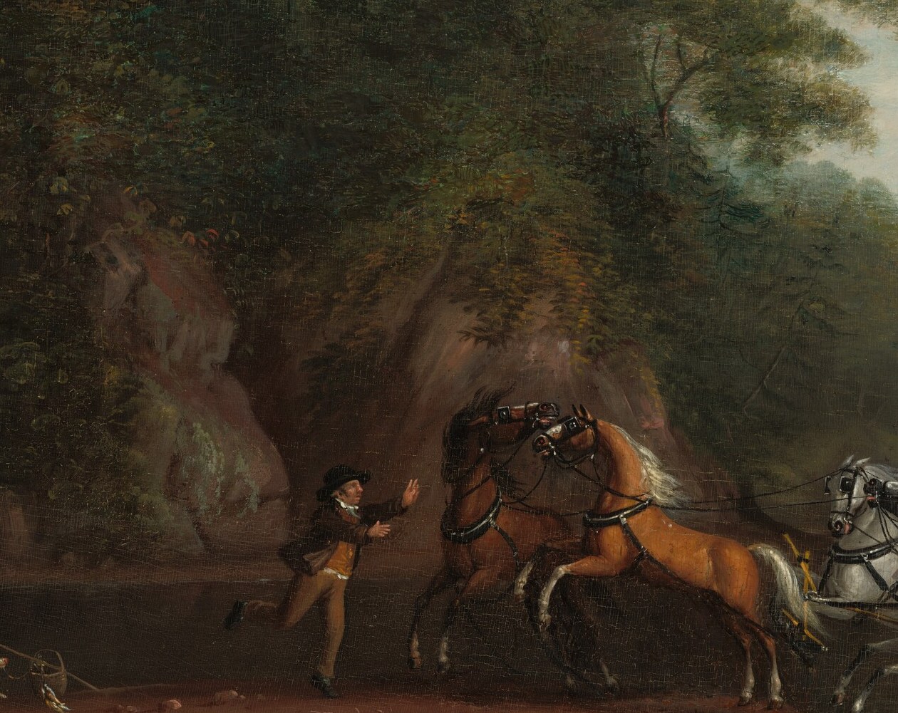But the horses struggle in the shallow river crossing.