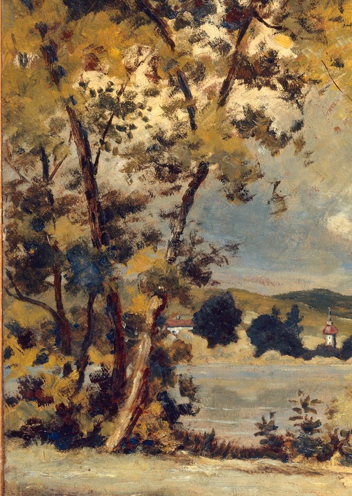 Its dense foliage and dark trunk anchor the left side of the composition, suggesting a mature, established presence.