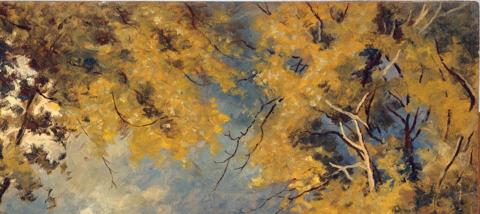 These vibrant, almost Impressionistic strokes of yellow create a sense of light and movement, hinting at autumn or a specific time of day.