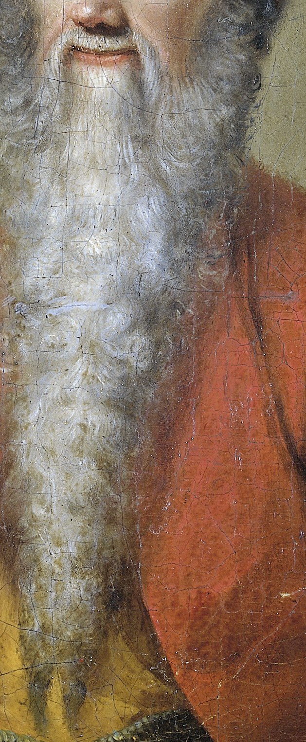 The texture and volume of the beard are rendered with great detail, giving it a tactile quality.