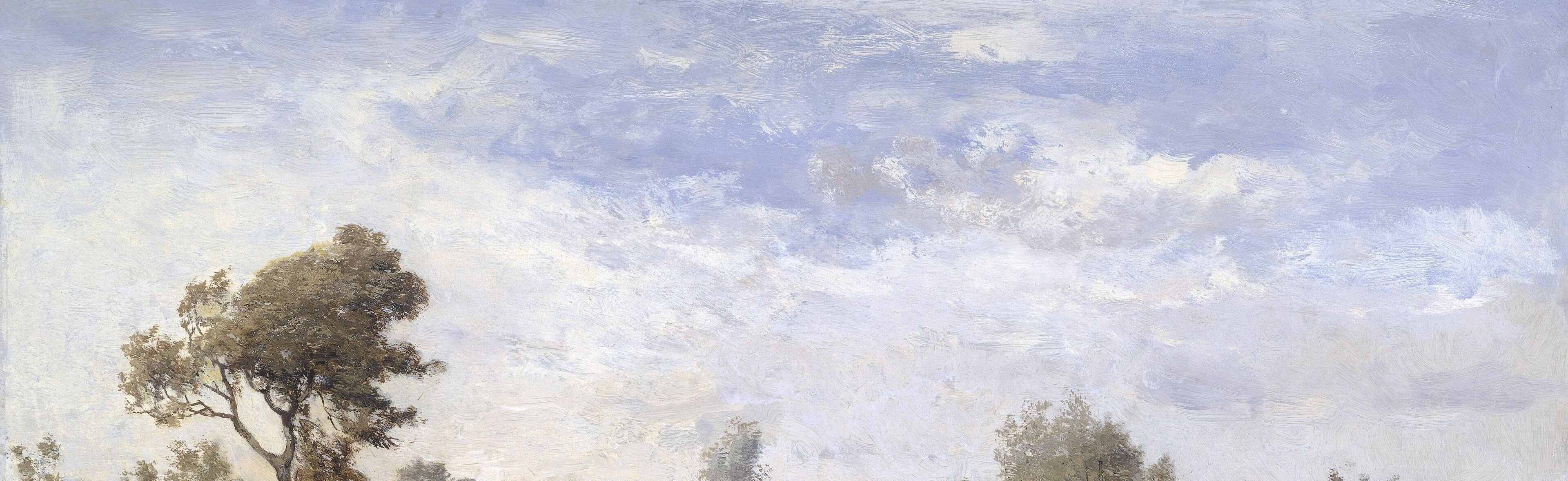 The diffused light creates a serene and slightly melancholic mood.