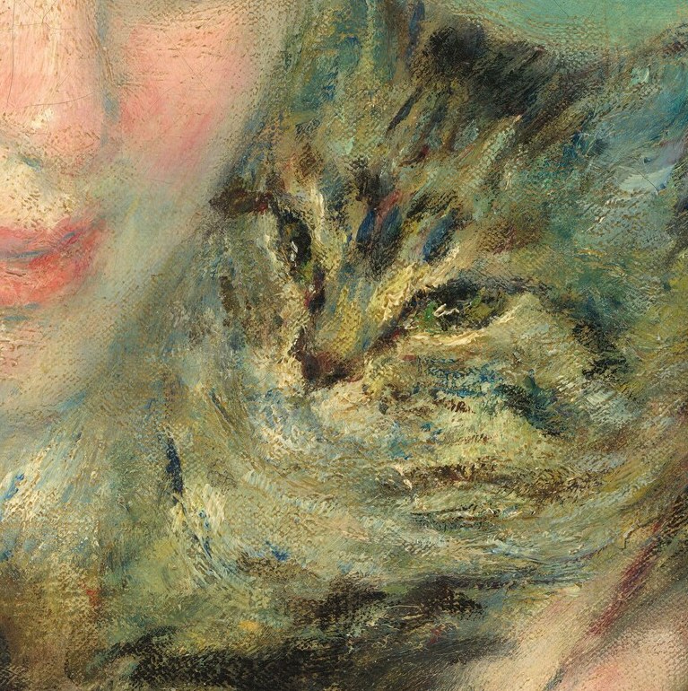 See how light plays across the cat's fur.