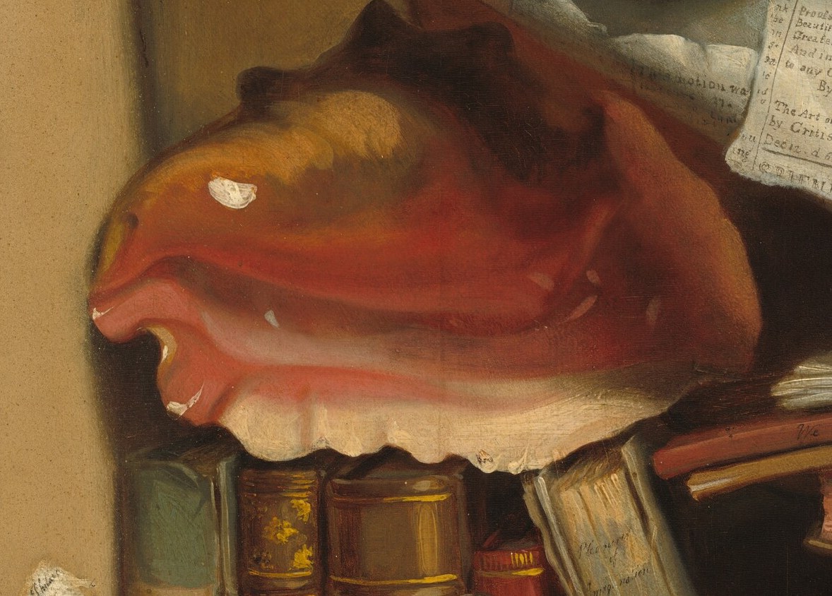 An exotic object, suggesting travel, collection, or a fascination with the natural world, contrasting with the mundane items.