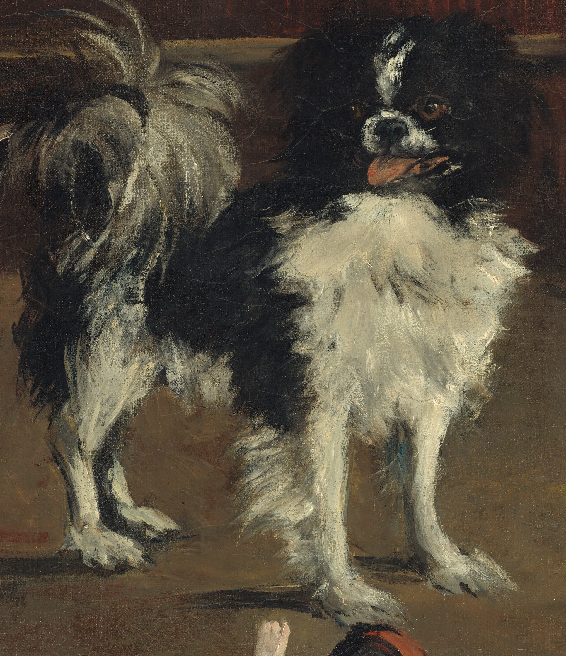 But this one, of a dog, is rarely seen.