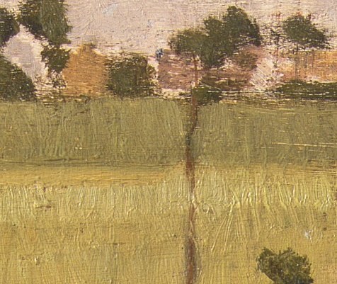 These slender trees mark a property boundary.