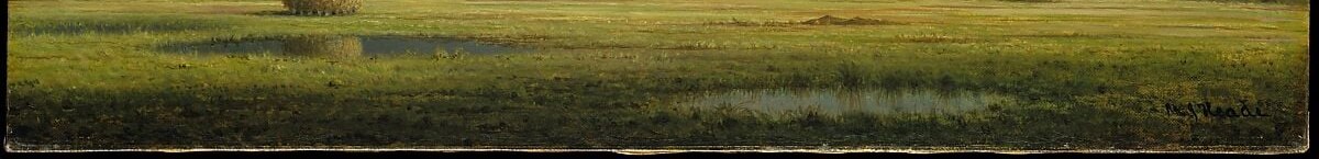Heade's meticulous brushwork records the specific matted, damp texture of New England salt marsh , a naturalist's eye distinguishing this from generic pastoral painting.