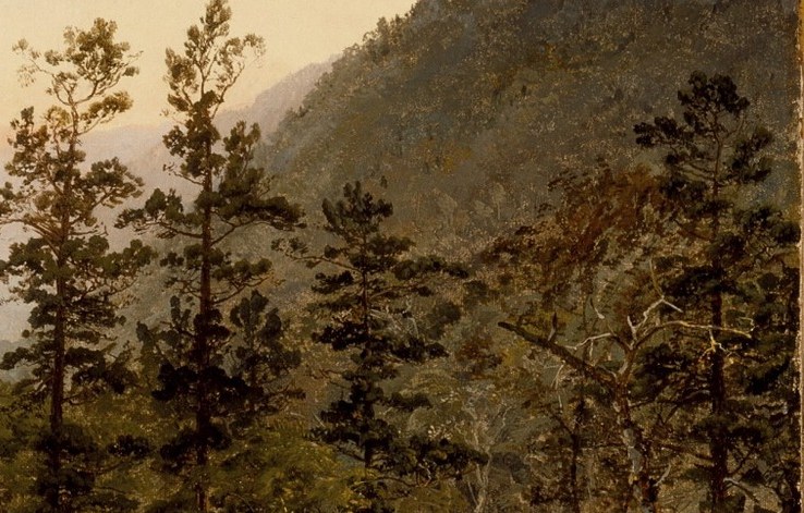 He captures the quiet power of the White Mountains.
