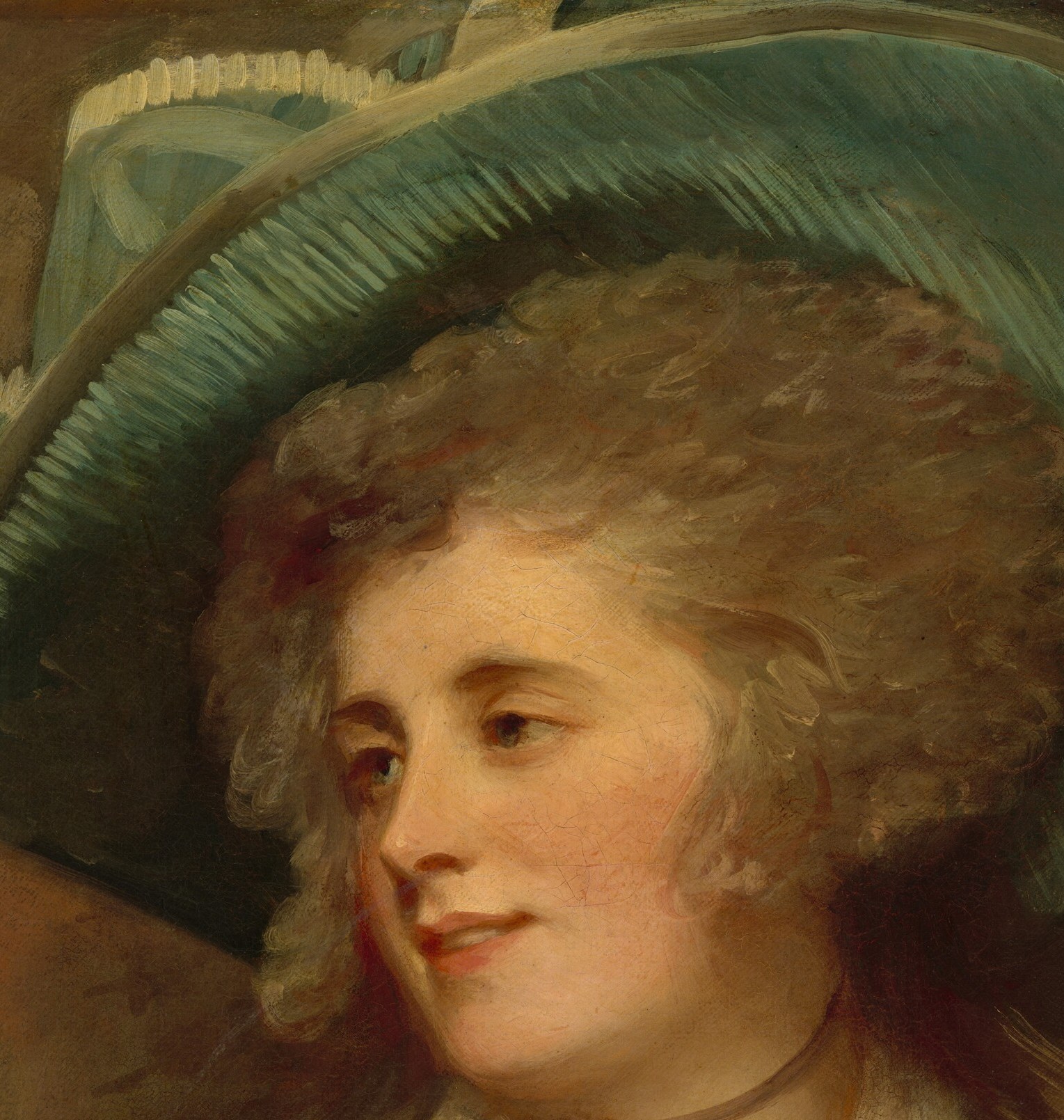 This is Lady Arabella Crosbie. A celebrated beauty.