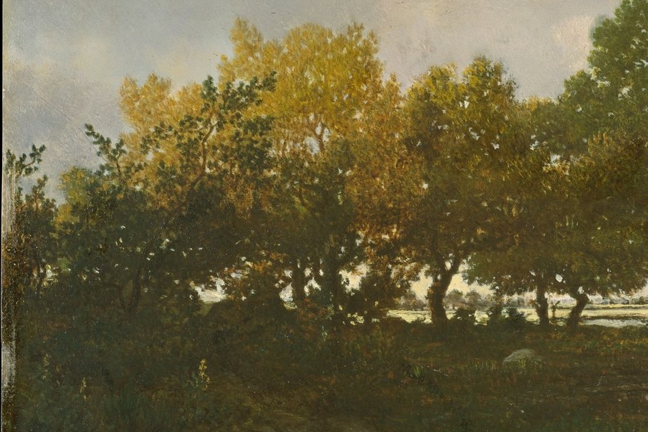 Look at the autumn trees on the left.