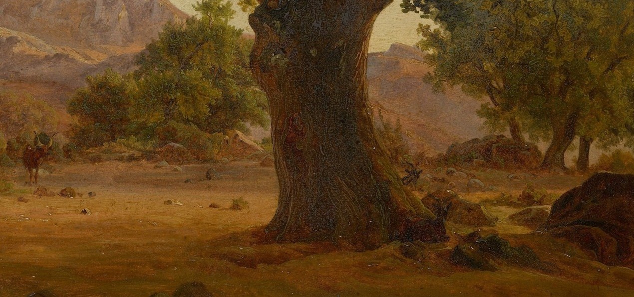 A landscape without a single human figure.