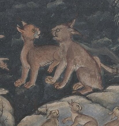 Here, a monkey gestures, conversing with a lynx.