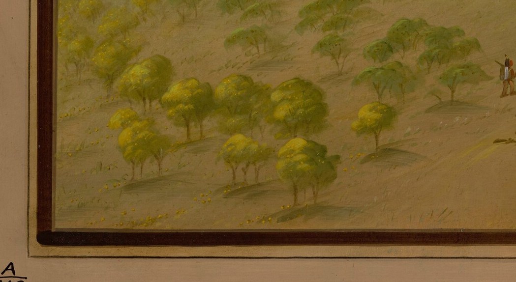 Their bright green leaves and orderly arrangement provide a sense of life and cultivation.