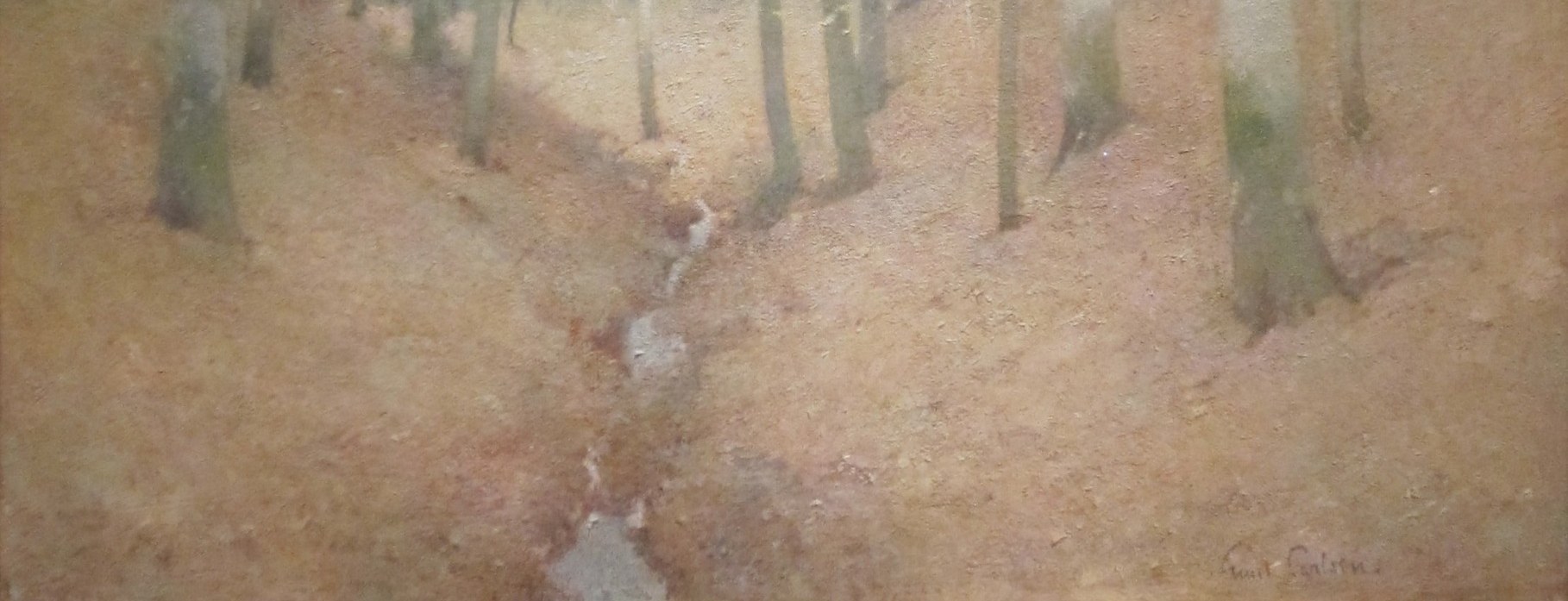 Look closely at the forest floor.