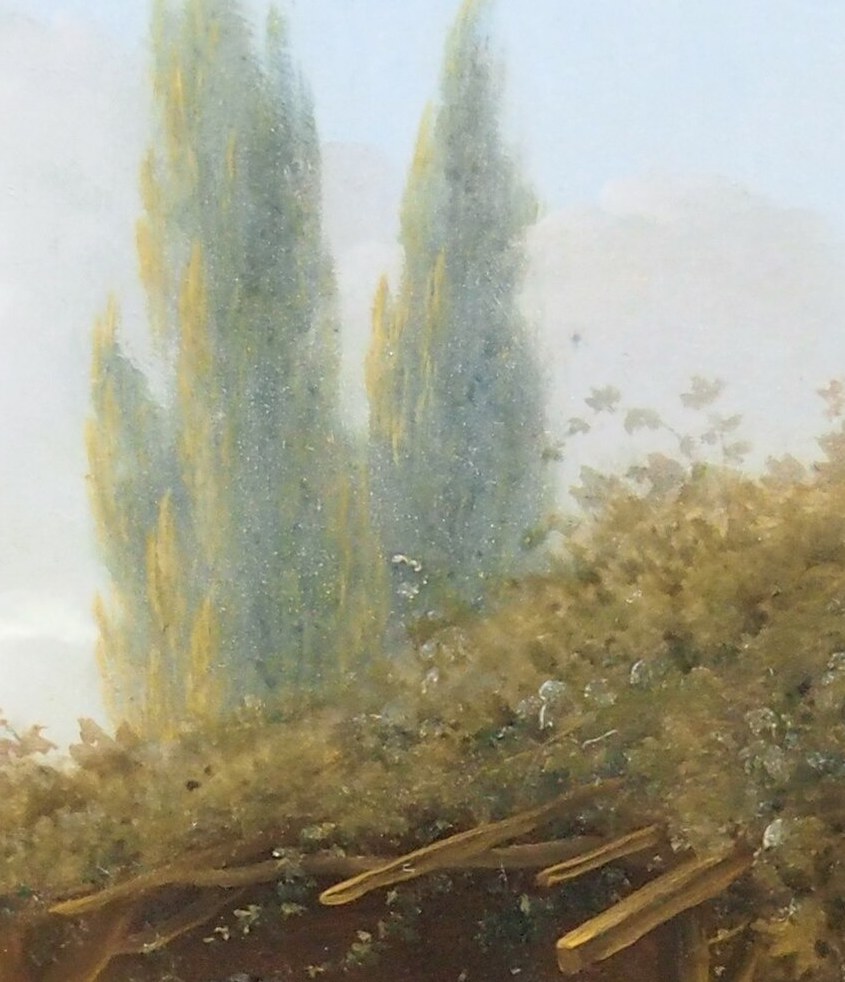 This artist, Karel Dujardin, specialized in them.