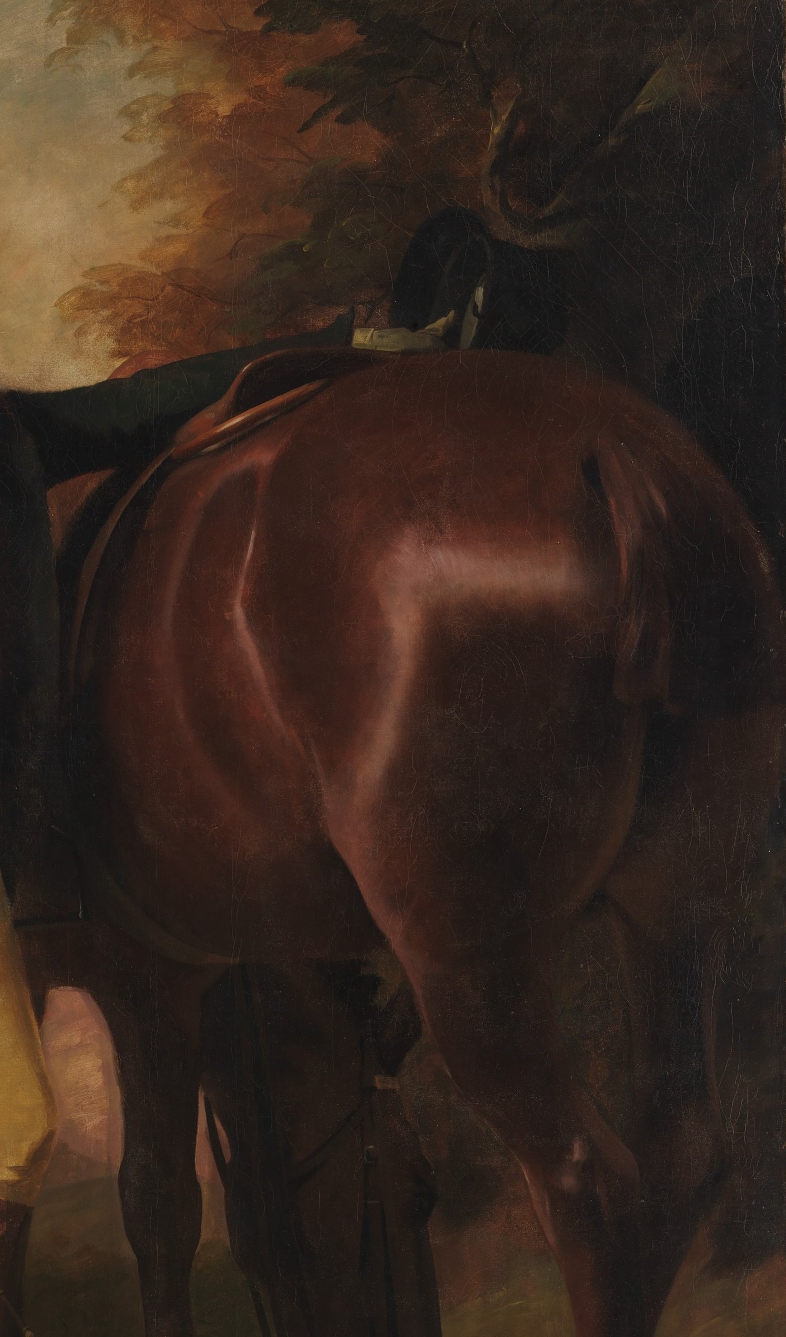 Unusually candid viewpoint , showing the horse's hindquarters rather than a noble profile , is a bold compositional choice that subordinates the animal to the standing sitter.