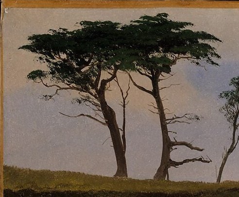 Tall cypresses stand guard over the cove.