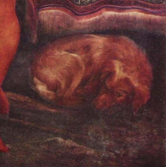 And a dog sleeps, oblivious, on the floor nearby.