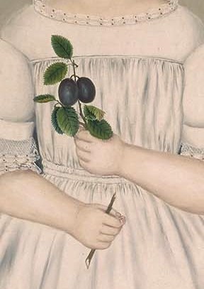 The middle child holds ripe plums.