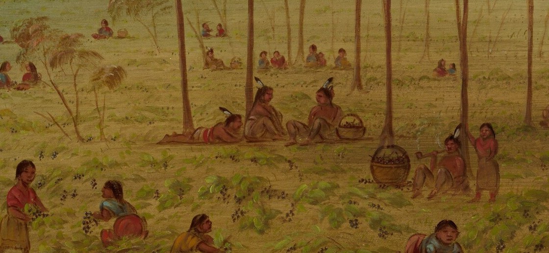 The artist, George Catlin, traveled widely to record these scenes.