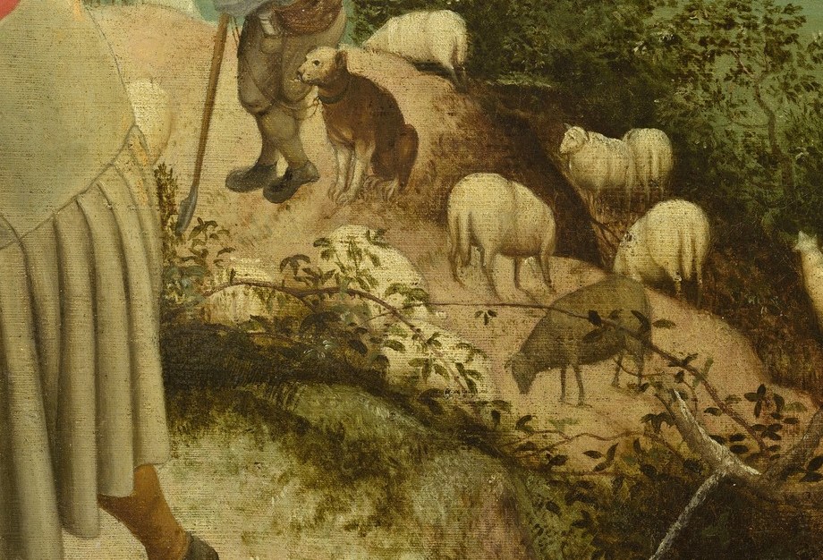 His sheep graze peacefully, an ordinary sight.