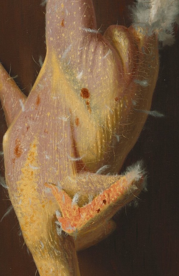 The detailed rendering of the scaly skin and sharp talons highlights the physicality of the bird and its preparation for consumption.