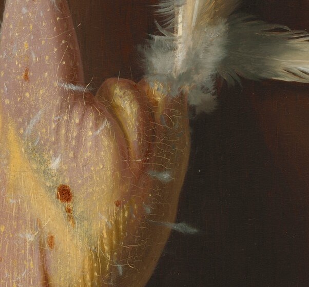 Look closely at the chicken's body, the plucked feathers.