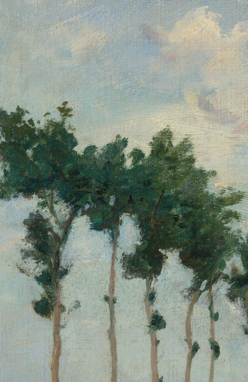 The vertical thrust of these poplars anchors the entire composition and anchors the viewer's sense of depth , a classic Northern French canal motif that a slow tilt down the row rewards.