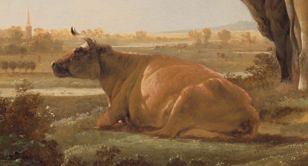 Cattle were vital to the Netherlands' economy.