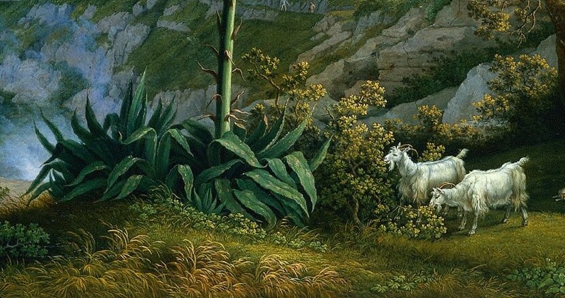 These grazing white goats are symbols of peace and plenty.