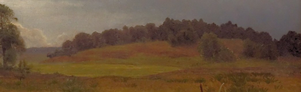 The dark, undulating line of trees provides a sense of depth and marks the horizon, grounding the expansive sky.