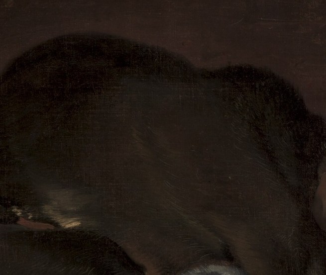 The extended paw freezes the moment of contact, giving the scene its kinetic charge and narrative tension