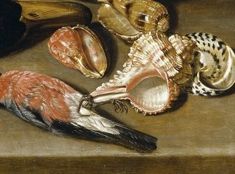 Her still lifes are full of rich details, like these shells.