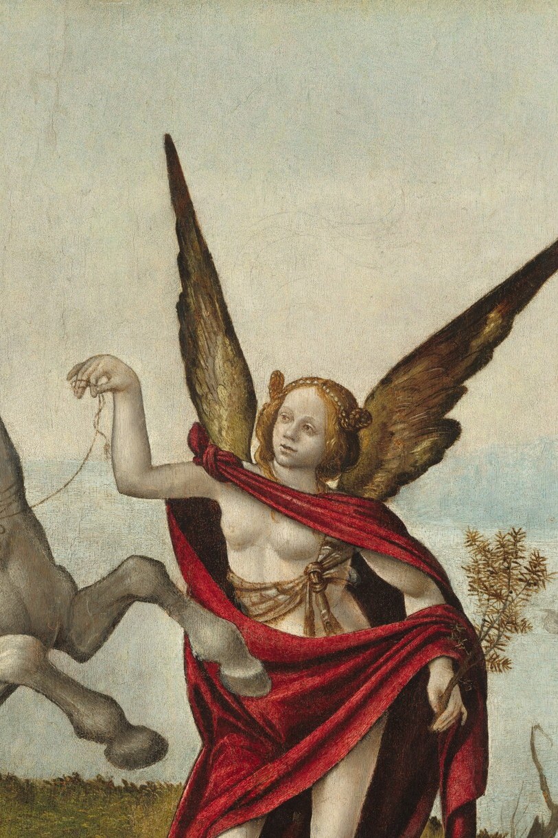 Piero's careful feather-by-feather rendering is a clear virtuoso display; the wings frame the figure like a stained-glass window and push the figure's identity toward the divine or mythological.