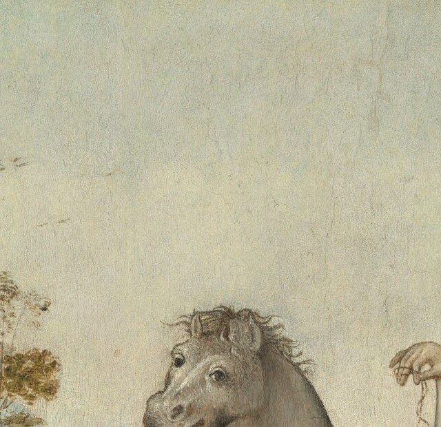 The head is turned slightly toward the viewer, mouth parted , a close-up reveals a strikingly human expressiveness rare in Renaissance animal painting.