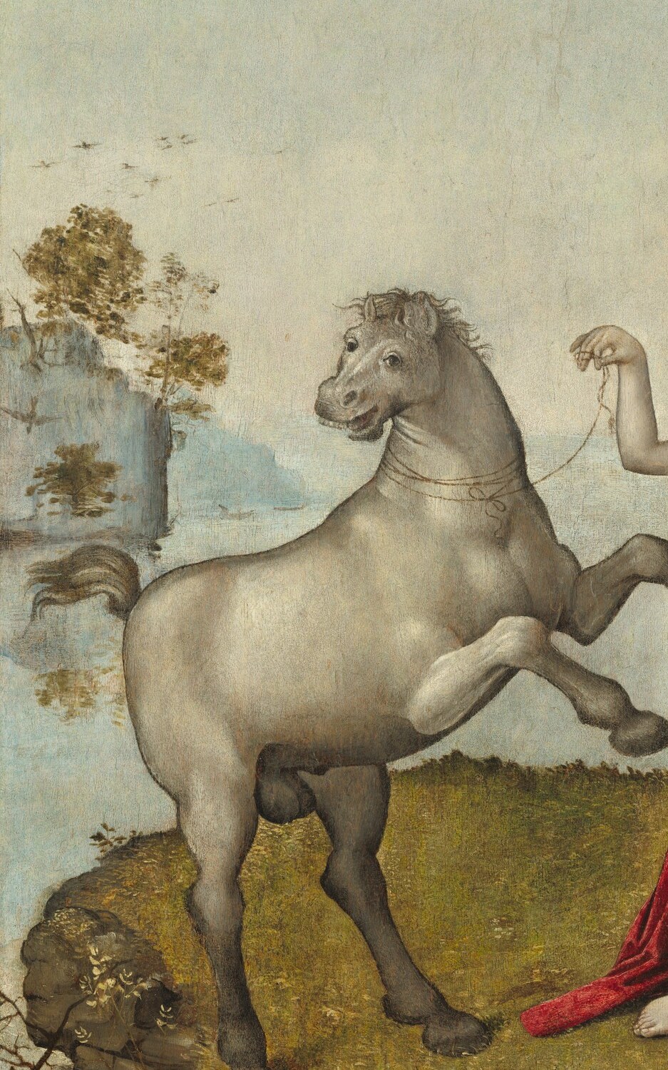 The horse's balletic pose and near-white coat dominate the composition; its body language reads as untamed force confronting the winged figure, making it the allegorical anchor of the whole scene.
