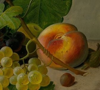 Velvety fuzz rendered through soft dry-brushed strokes; the blush of ripe skin against the cooler background creates a warm focal anchor on the right margin.