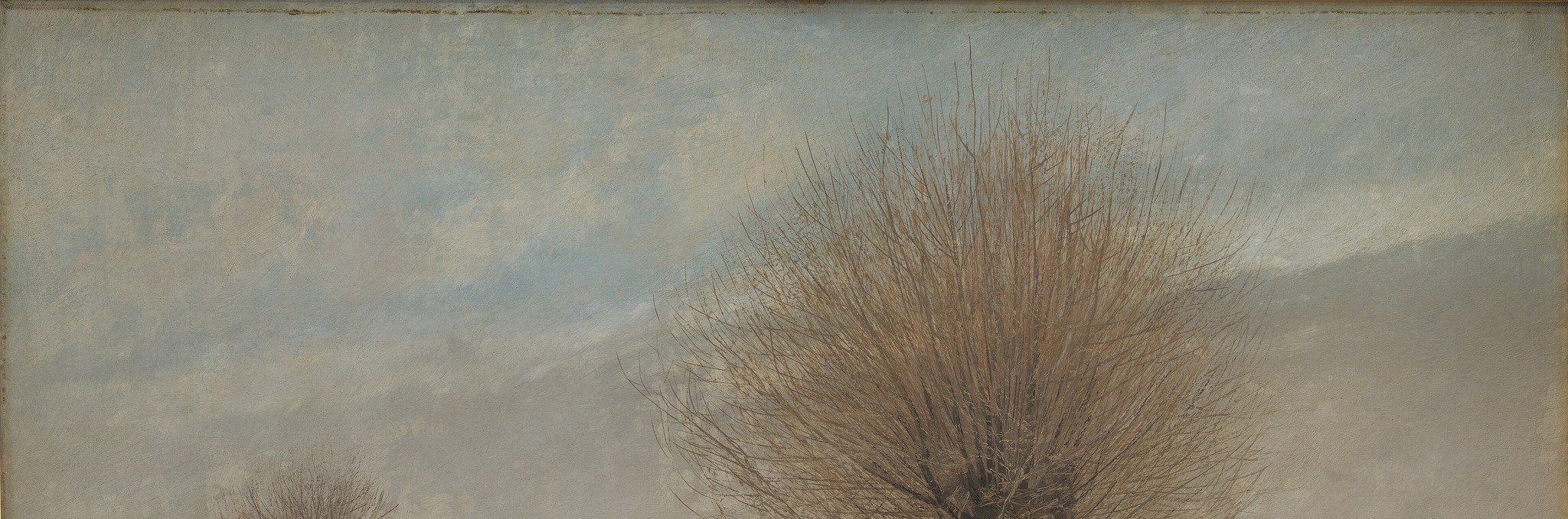 The diffused light and muted tones of the sky contribute to the overall atmosphere of stillness and cold.