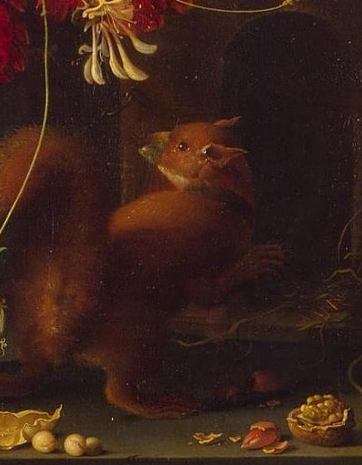And a small, alert squirrel peeks from behind the leaves.
