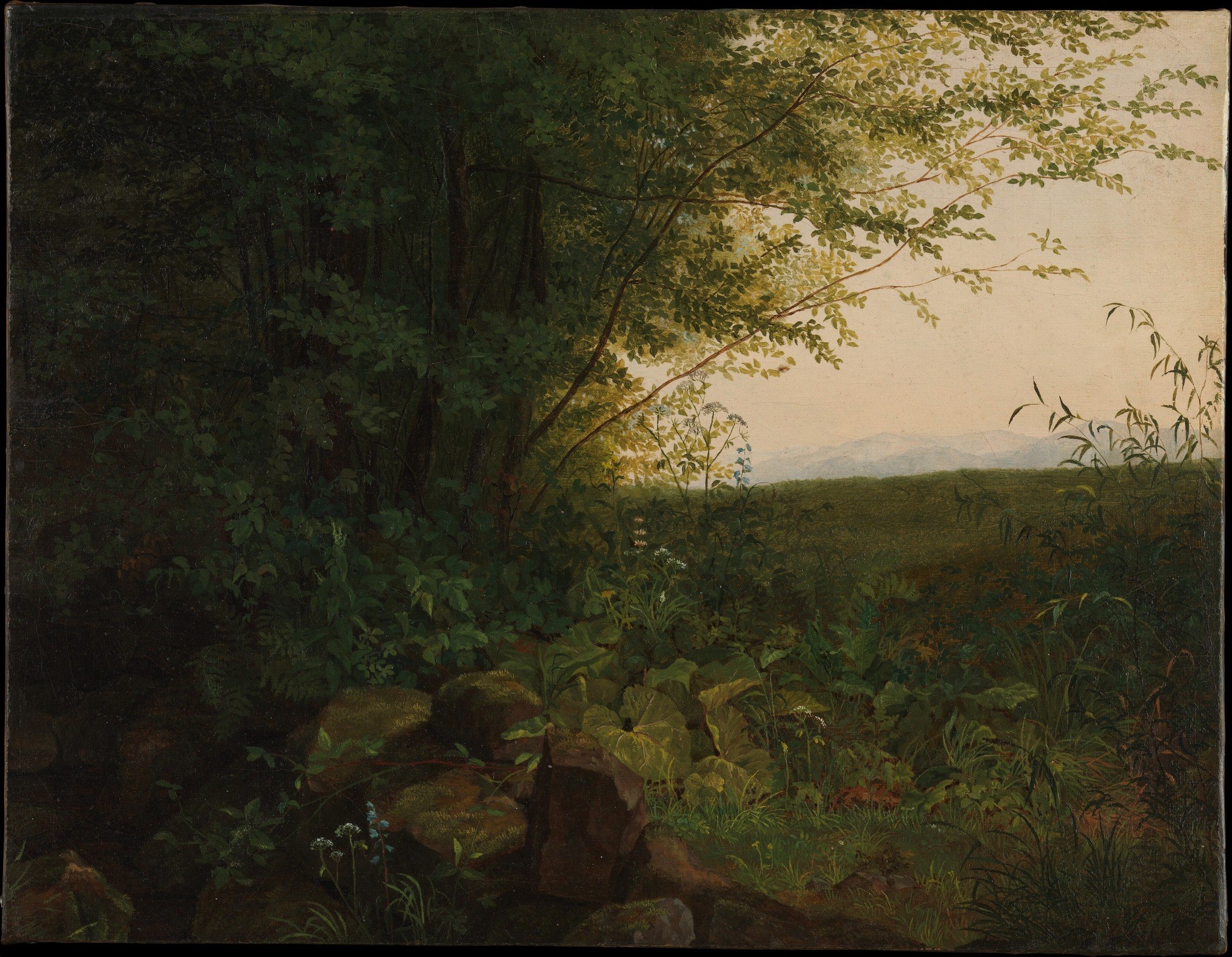 He meticulously rendered the interplay of light and shadow.