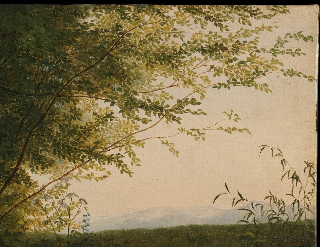 Look how he captures every leaf and blade of grass.
